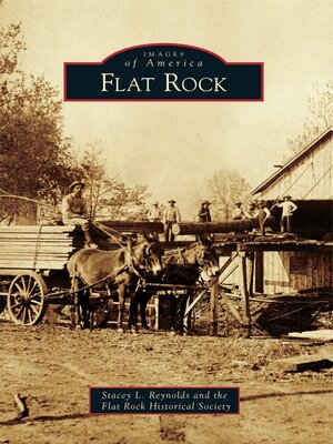 cover image of Flat Rock